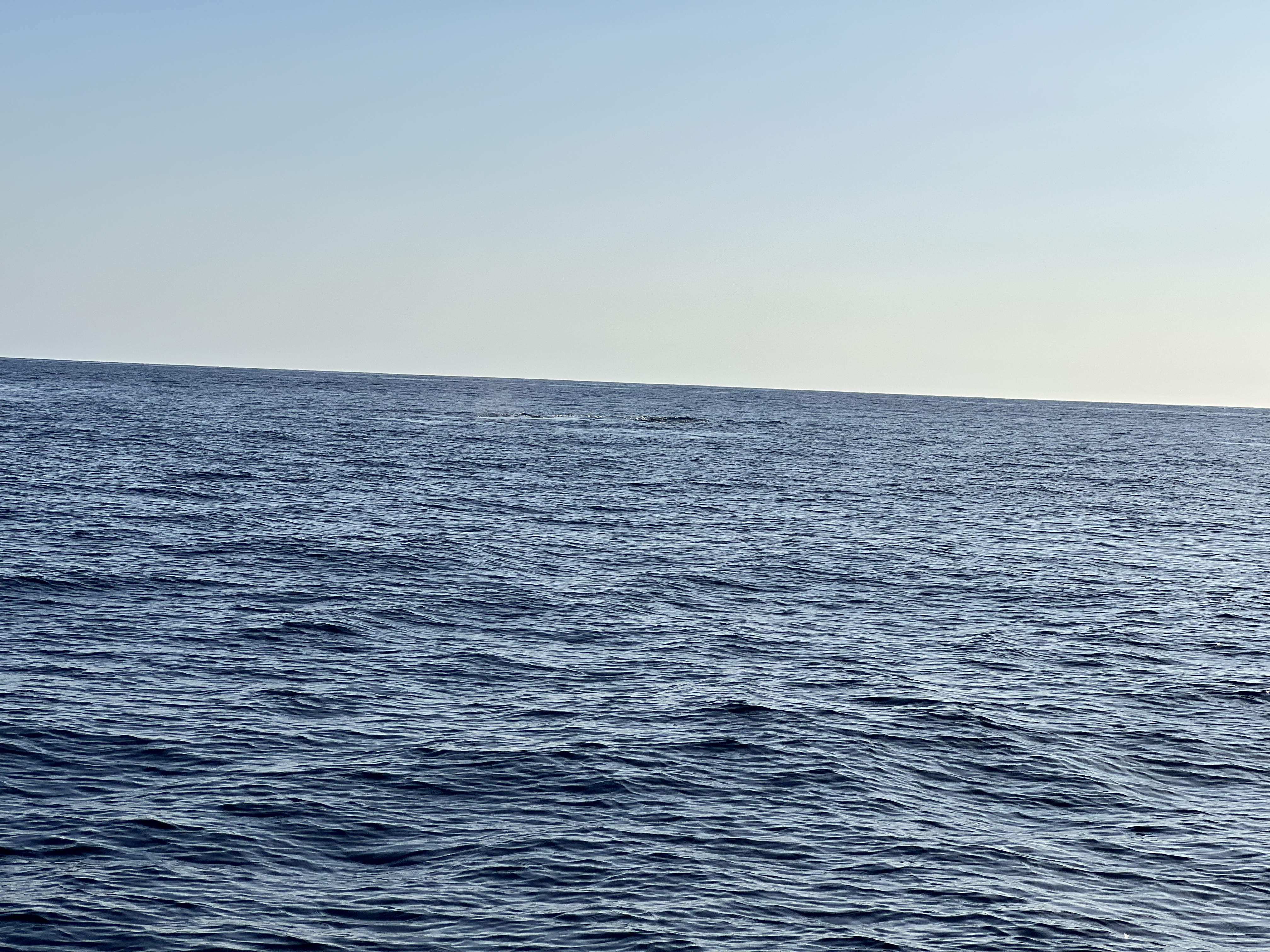 ./2024/13 - Cabo/IMG_4676.jpg